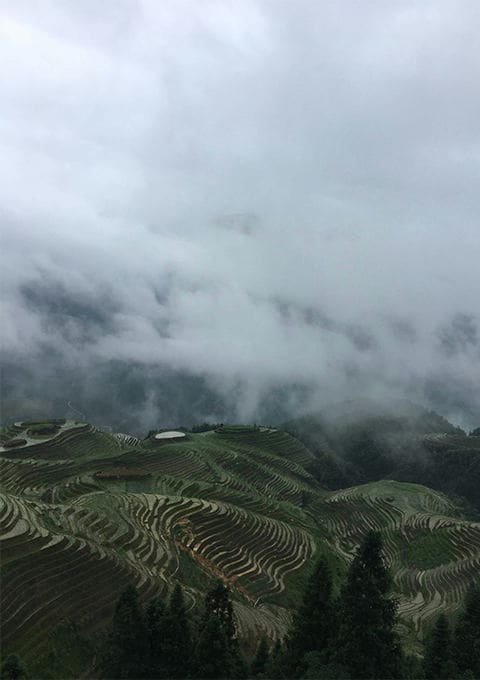西双版纳云景旅行社有限公司驻马店第一网点